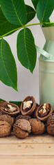 Walnuts and leaves