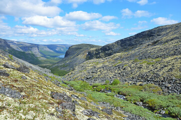 Fototapeta na wymiar Kola Peninsula, Murmansk region, Lovozero tundras in summer