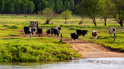 Krajobraz wiejski Podlasia. Dolina Narwi, Podlasie, Polska © podlaski49