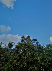 Obraz premium Green nature with beautiful clouds and faraway small moon in the blue sky