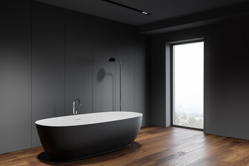 Fototapeta na wymiar Grey bathroom corner with tub and window