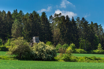 Sommer im Thüringer Wald