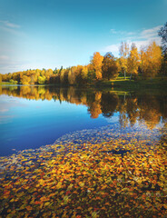 autumn landscape with lake