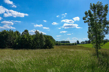 Rheinaue bei Köln Worringen