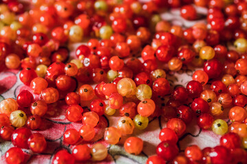 Red ripe currant berries after cleaning ready for jam making. Selective focus.