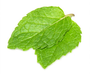 Mint leaves isolated on white. Mint Clipping Path. Professional food photography