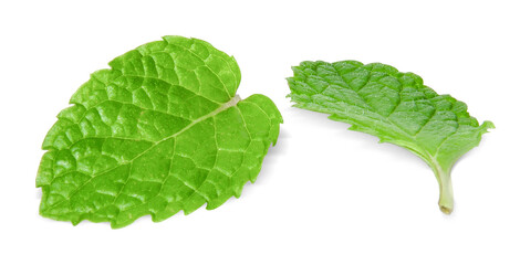 Mint leaves isolated on white. Mint Clipping Path. Professional food photography