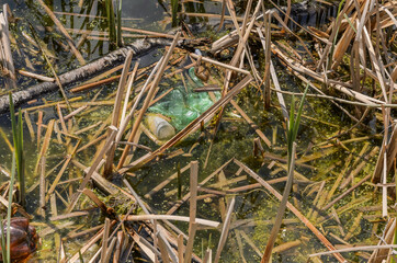 Lake polluted with garbage and bottles	
