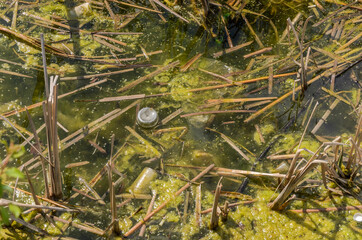 Lake polluted with garbage and bottles	
