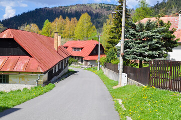 Fototapeta na wymiar Village in the mountains.