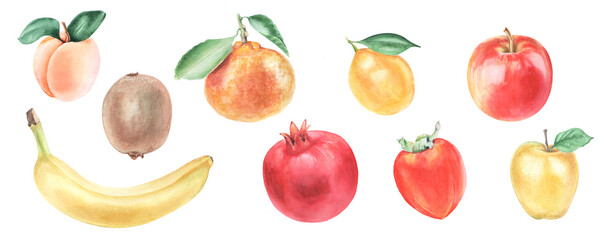 Watercolor set of fruit isolated on white background. Apple, apricot, banana, kiwi, lemon, mandarin, persimmon,pomegranate. Colorful illustration for print design, clothes, souvenir design.
