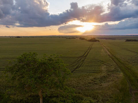 Drone View of Landscape at Sunset Time