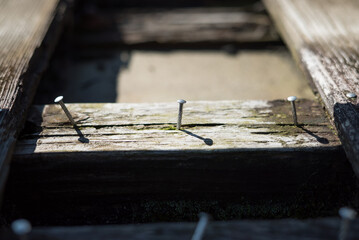 古い木に刺さった釘