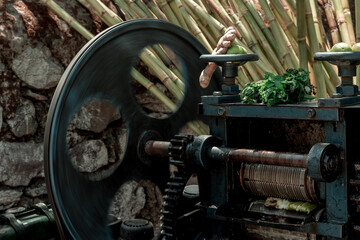 the machine squeezes juice from the cane for a cane drink