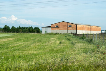 Granja en medio de un campo de cultivo.