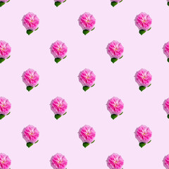 Seamless pattern with tea roses on a pink background. Minimal isometric texture of food. Use for boards, print on fabric.