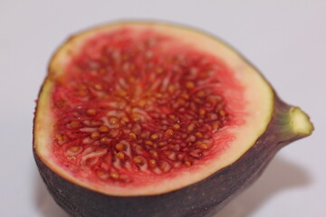Fig