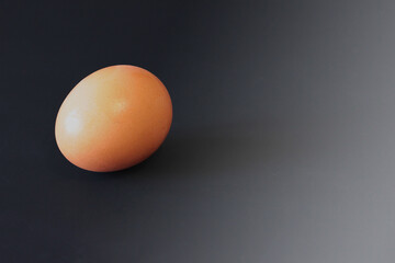 a lone chicken egg that lies on a black and gray background