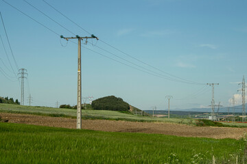 Paisaje de prados verdes en verano con tendido eléctrico.