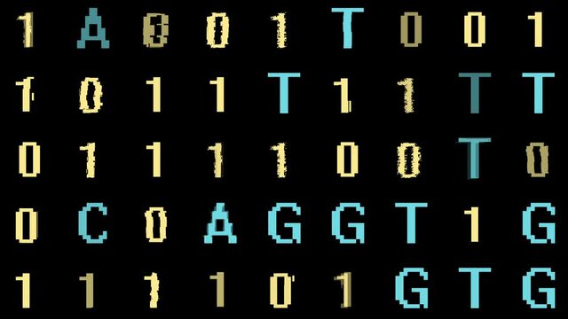Bioinformatics Genetic DNA Code AGTC into Computer Code - DNA Genome Sequencing Letters Fade to 1s and 0s