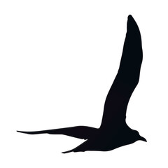Schwarze Fliegende Vögel auf Weißem Hintergrund.