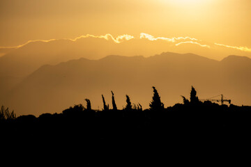 Naklejka premium Paisaje a contraluz en puesta de sol con siluetas de árboles