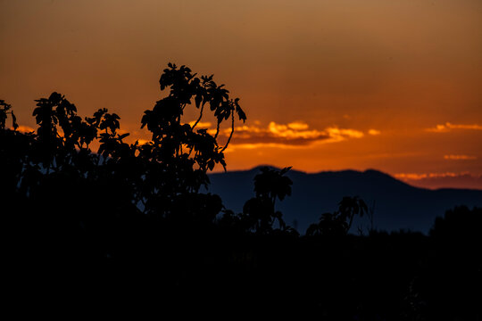 Paisaje a contraluz en puesta de sol con siluetas de &aacute;rboles