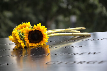 Word Trade Center of New York