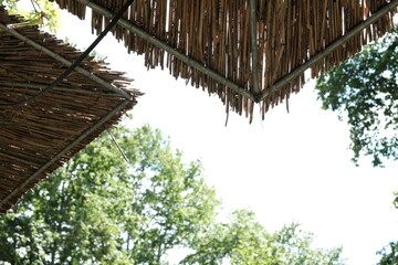 Overhead symetric bamboo structures in park