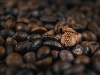 Close-up of roasted Thai coffee beans