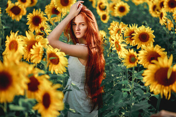 young girl in sunflowers on a Sunny day
