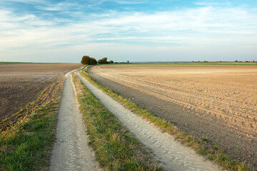 Dirt road and plowed fields, trees on the horizon and white clouds on sky