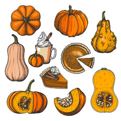 Vector ink set with pumpkins and pumpkin desserts - 354034386