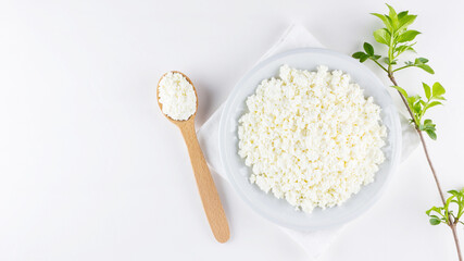 Cottage cheese in a white plate on a white background. Soft cheese and wooden spoon. Cottage cheese and branch with green leaves on a white napkin. Top view. Copy space