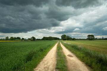 Fototapeta na wymiar Dirt road and green farmlands, dark large cloud on the sky