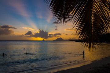 Fototapeta na wymiar last swim during sunset in Martinique