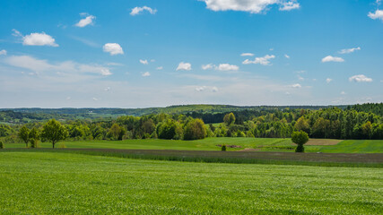 Fototapeta na wymiar Nature landscape of green field in Kashubian region in Poland. Nature and agriculture concept.