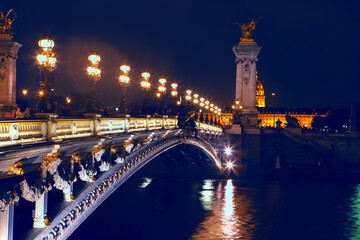 Fototapeta na wymiar arched bridge Alexandre in Paris illuminated in the night 