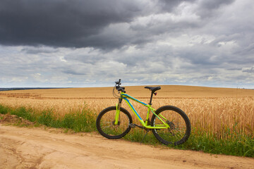 Fototapeta premium bicycle wheat field,in a wheat field stands a bicycle in thunderstorm weather