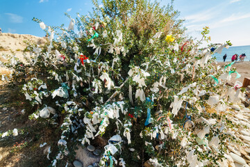 Colorful ribbons tied on a wish tree in Cyprus. Shot of a wishing tree with countless messages, wishes and hopes written down on different materials.