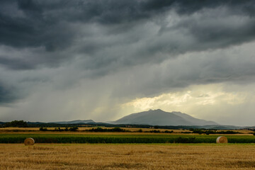 Storm clouds over the wheat field. © zkcristian