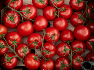Cherry tomatoes with green branches in the organic market. The concept of healthy nutritious food. Superfood, vegetarian diet.