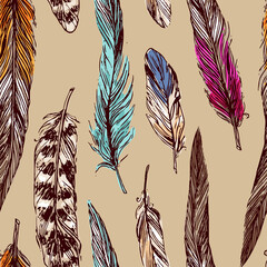 Feathers sketch. Hand drawn vector beautiful illustration.
