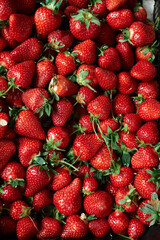 Bright fresh strawberries in the organic market