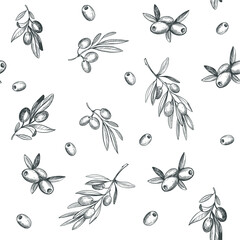 Seamless pattern with olive branch. Vector illustration. Isolated on transparent background