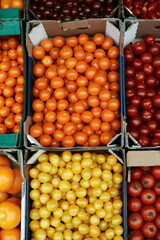 a box with a variety of types of tomatoes on the market