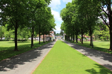 Gräflicher Park in Bad Driburg