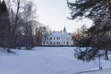 Fototapeta na wymiar Neo gothic Alatskivi castle at winter. White building and white snow around.