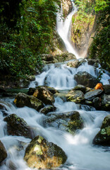 Waterfall deep inside the rainforest at Deintree national park in Queensland, Australia
