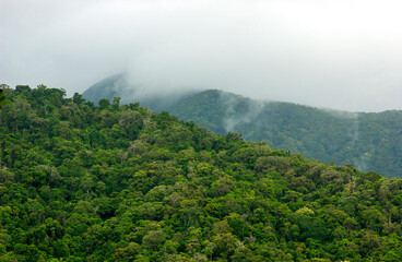 Clouds over summit on rainforest covered mountains at Daintree in Queensland, Australia